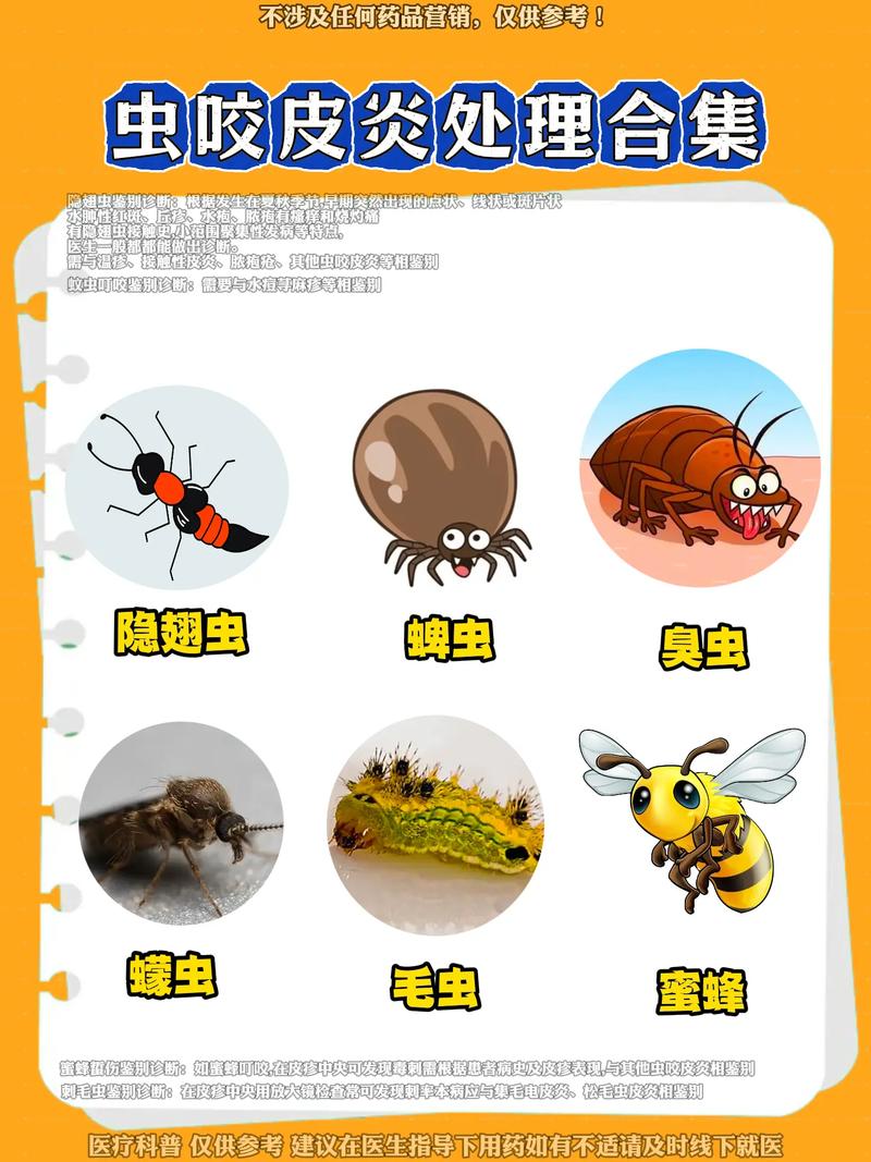 认识家中常见害虫库蚊：特征、繁殖条件及防治要点
